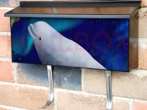 White Beluga and the Northern Light Townhouse Mailbox Cover
