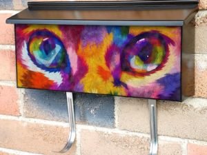 Rainbow Cat Face Townhouse Mailbox Cover