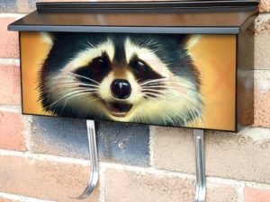 Adorable Smiling Raccoon Townhouse Mailbox Cover
