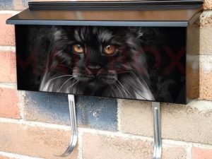 Beautiful Black and White Maine Coon Cat Townhouse Mailbox Cover