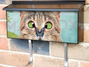 Adorable Kitten and a Butterfly Townhouse Mailbox Cover