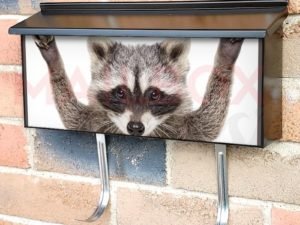 The Cutest Raccoon Townhouse Mailbox Cover