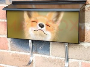 Cute  Spring Fox Townhouse Mailbox Cover