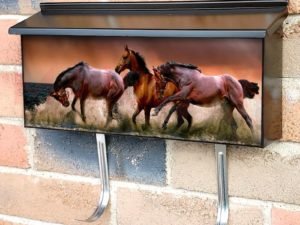 Beautiful Brown Horses in the Sea Townhouse Mailbox Cover