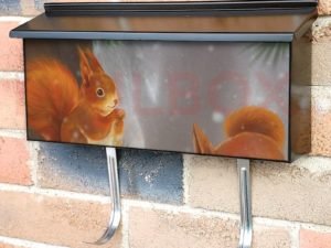 Little Red Winter Squirrels  Townhouse Mailbox Cover