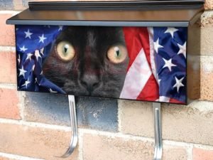 American Kitten and Flag #2 Townhouse Mailbox Cover