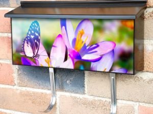 Butterfly on the Crocus Townhouse Mailbox Cover