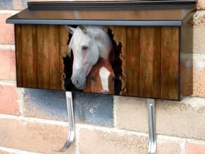 Horses at the Broken Wall Townhouse Mailbox Cover