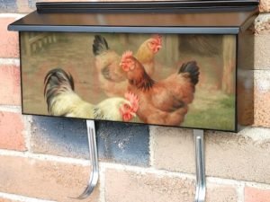 Curious Chickens with a Turtle Townhouse Mailbox Cover