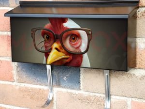 Funny Rooster in Glasses Townhouse Mailbox Cover