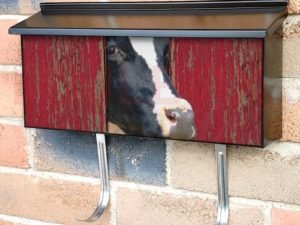 Curious Cow at the Barn Door Townhouse Mailbox Cover