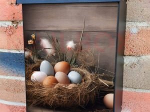 Easter Day Nest Filled with Eggs Colonial Mailbox Cover