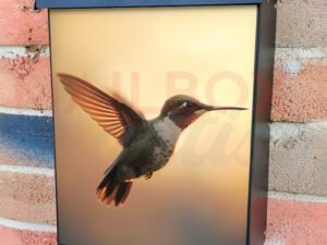 Rufous Hummingbird Hovers Mid Air Spreading Iridescent Colonial Mailbox Cover
