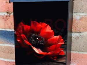 Red Poppy As A Symbol Of Memory For The Fallen In The War Colonial Mailbox Cover