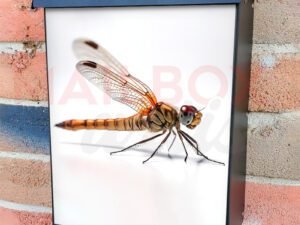 A Dragonfly Close Up Colonial Mailbox Cover