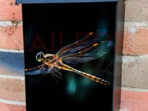 Vibrant Beautiful Dragonfly Wing Colonial Mailbox Cover