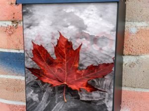 Canada Day Red Maple Leaf On Ice Colonial Mailbox Cover