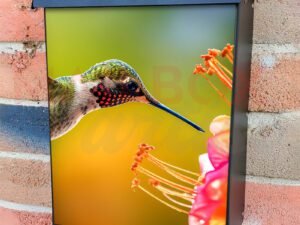Bright Colorful Hummingbird Flying To Flower For Nectar Colonial Mailbox Cover