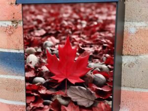 Canada Day Red Maple Leaf Surrounding Red Leaves and White Stones Colonial Mailbox Cover