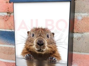 Baby Beaver Climbing off Water Colonial Mailbox Cover