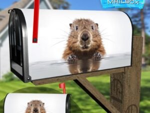 Baby Beaver Climbing off Water Decorative Rural Farm Mailbox Cover