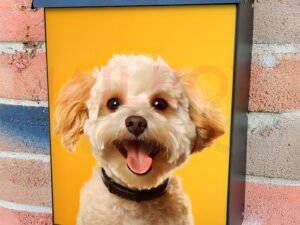 Happy Smiling Dog Orange Background 4 Colonial Mailbox Cover