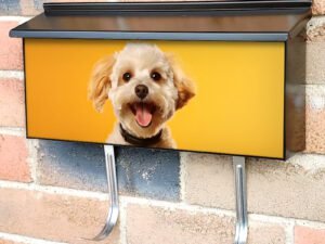 Happy Smiling Dog Orange Background 4 Townhouse Mailbox Cover