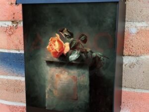 Rose on Stone Still Life Colonial Mailbox Cover