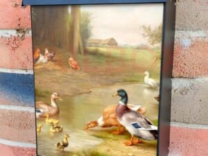 Ducks by Stream Colonial Mailbox Cover