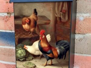 Farmhouse Chickens and Rooster Colonial Mailbox Cover