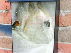 Winter Horse and Little Robin Colonial Mailbox Cover