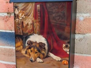 A Reluctant Playmate by Wright Barker Colonial Mailbox Cover