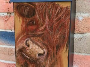 Cute Highland Bull Colonial Mailbox Cover