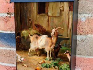 Goats, Chickens And Chicks In A Farmyard Colonial Mailbox Cover