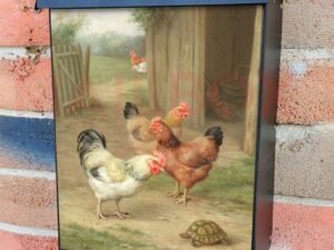 Curious Chickens with a Turtle Colonial Mailbox Cover