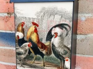 Vintage Chicken Barnyard Colonial Mailbox Cover