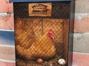 Hen and Eggs in the Chicken Coop Colonial Mailbox Cover
